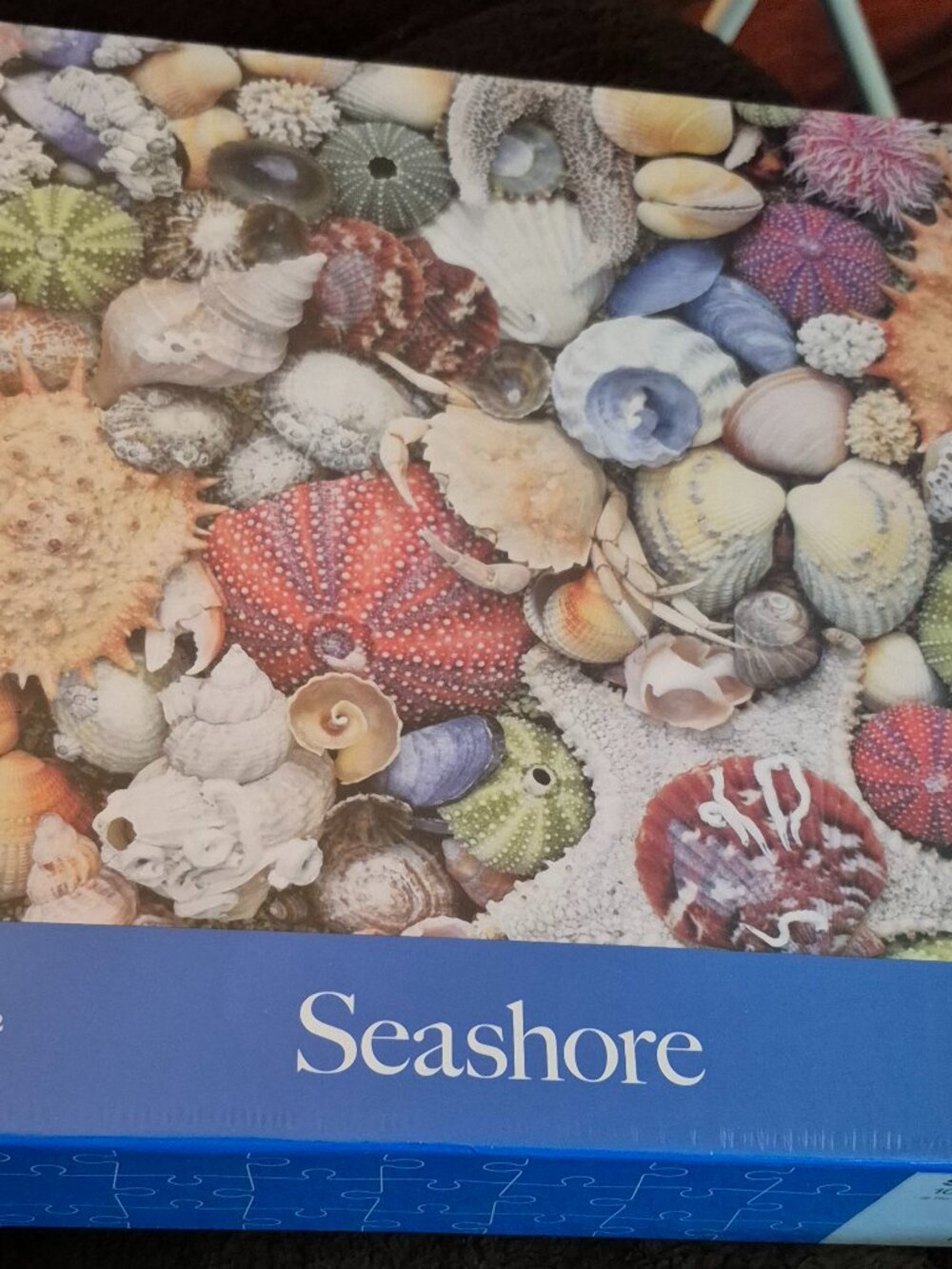 Re-Marks Seashore 1000 Piece Jigsaw Puzzle Collage Colorful Shells Starfish NIB